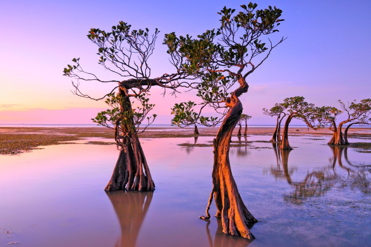 The coastal coast in Sumba, Indonesia.